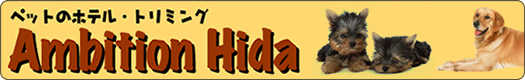 AMBITION HIDA