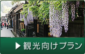観光向けプラン